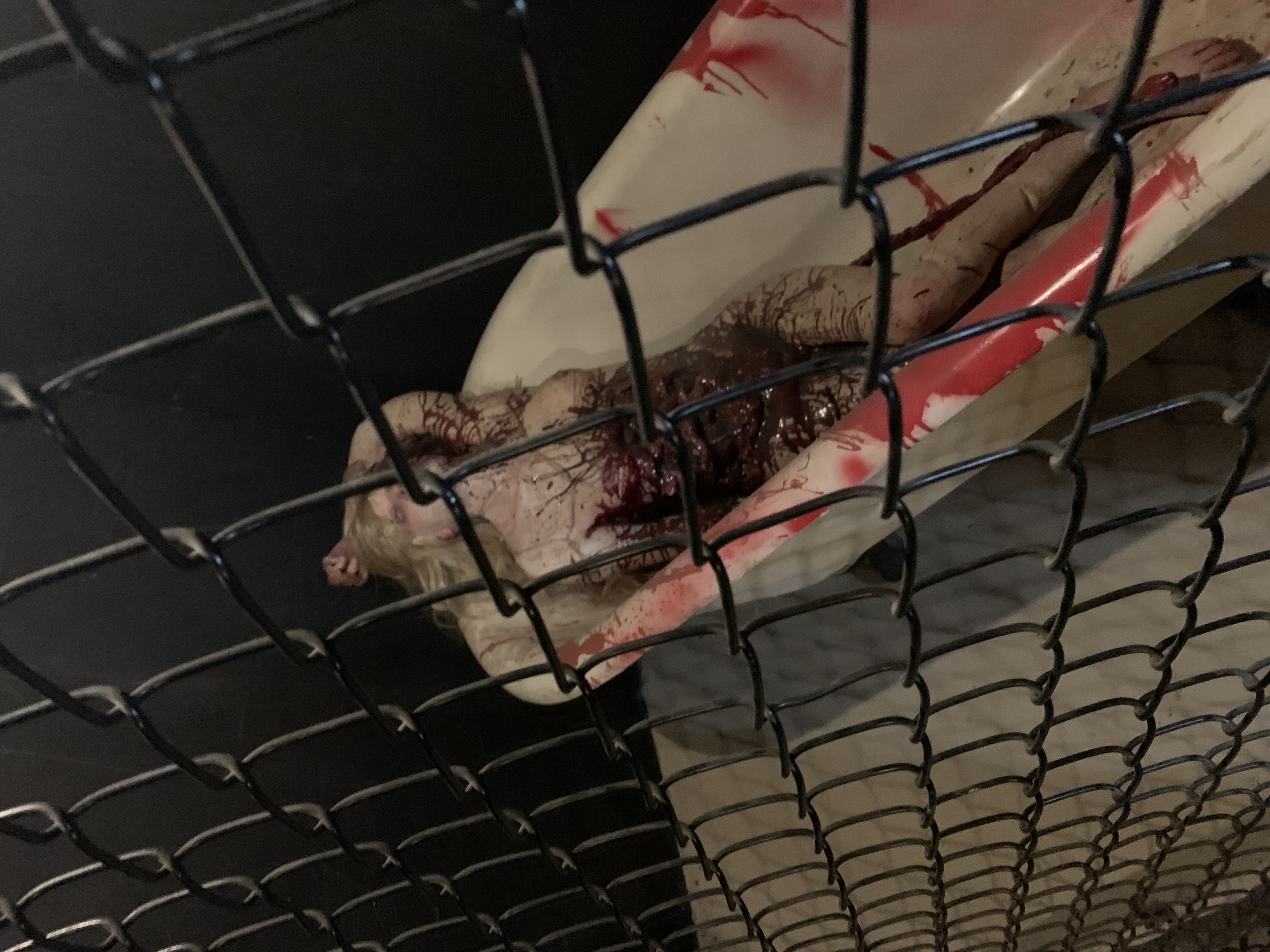 ./2022/06 - St Louis/06 - Day 6/20220526-153504929.JPG